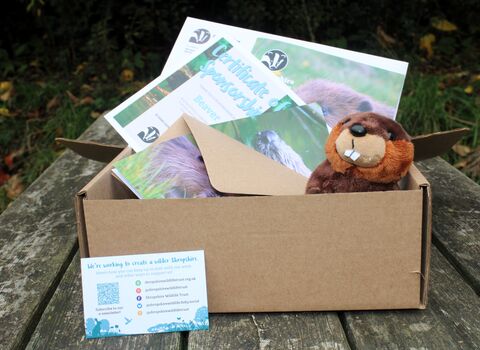 Layout of beaver sponsorship pack