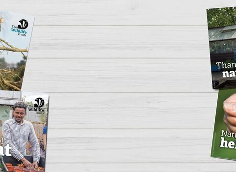 Postcard website banner