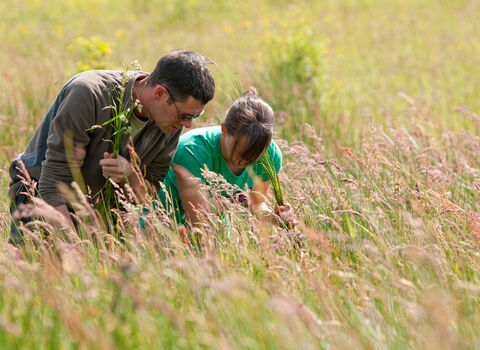 Grassland habitat mapping