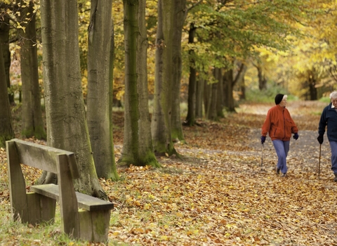 Autumn