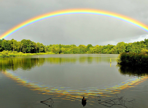 Rainbow over the lake